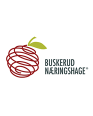 Buskerud Næringshage