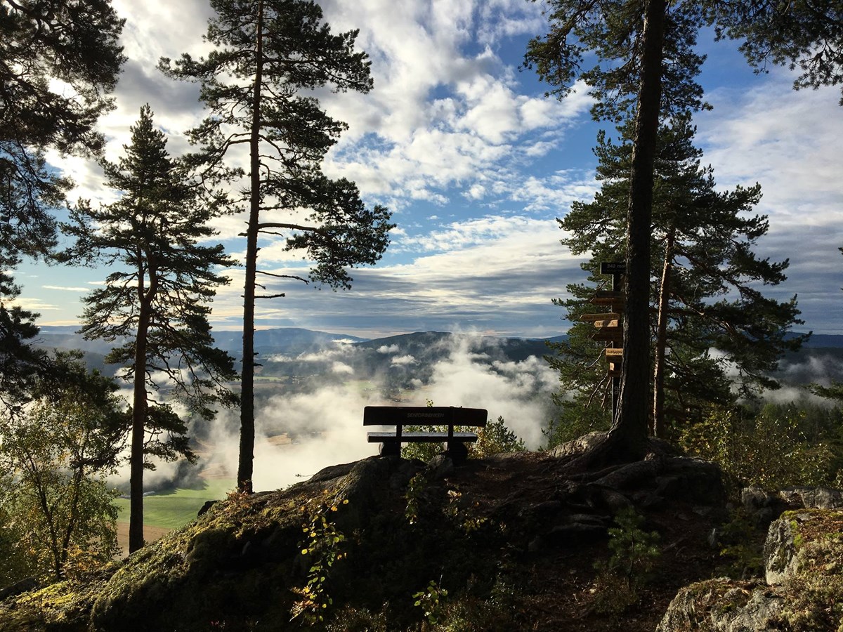 Foto: "Opplev Allmannsåsen" sin Facebook-side