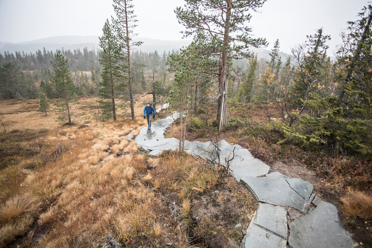 Bli med Anders Backe på tur.